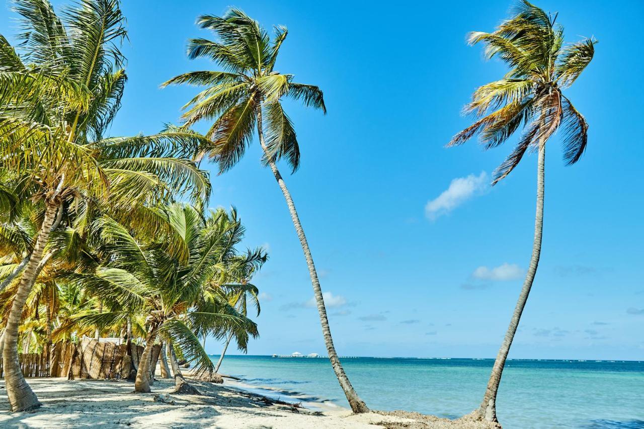 Las Terrazas Condo Punta Cana Beach - Los Corales Village Экстерьер фото